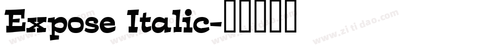 Expose Italic字体转换